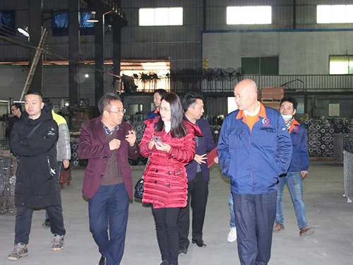 凌霄泵業(yè)財(cái)務(wù)總監(jiān)到公司調(diào)研